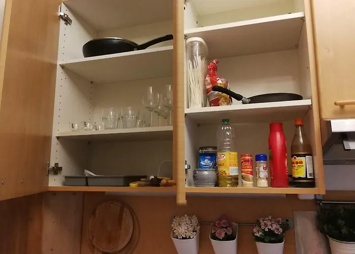 Apartament Jungle Self Check-in *